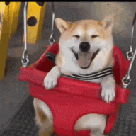 Maxthedoggo223