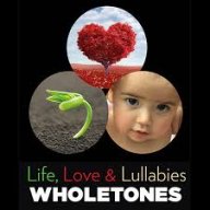 wholetoneslife