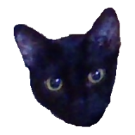 PepperTheCat